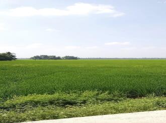 Residential House Villa for Sale in Alleppey, Kuttanad, Kavalam, Krishnapuram route Narakathara.
