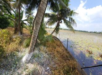 Residential Land for Sale in Kottayam, Kottayam town, Pallom, Govt.U.P.School Pallom
