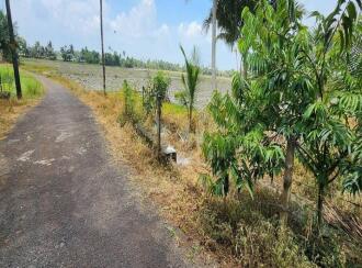Residential Land for Sale in Kottayam, Kottayam town, Pallom, Govt.U.P.School Pallom