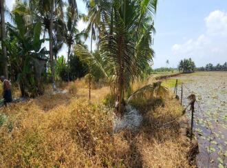 Residential Land for Sale in Kottayam, Kottayam town, Pallom, Govt.U.P.School Pallom