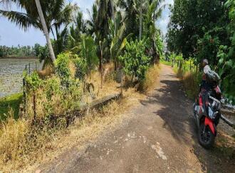 Residential Land for Sale in Kottayam, Kottayam town, Pallom, Govt.U.P.School Pallom
