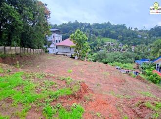Commercial Land for Sale in Kollam, Punalur, Punalur, near to Poyanil Hospital