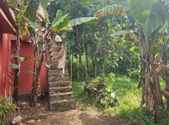 Residential Land for Sale in Alleppey, Venmony, Venmony, Vettiyar - Venmony Road