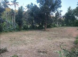 Residential Land for Sale in Kollam, Kottarakkara, Kottarakkara, Kadalavila Junction