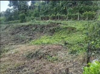 Residential Land for Sale in Kollam, Kottarakkara, Kottarakkara, Kadalavila Junction