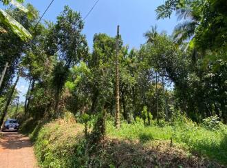 Residential Land for Sale in Kannur, Thalassery, Kolassery, near thalassery