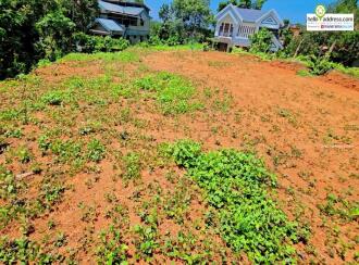 Residential Land for Sale in Kottayam, Kottayam town, Thannikkapady, Girideepam H.S. School,