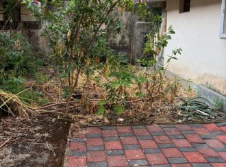 Residential Land for Sale in Ernakulam, Ernakulam town, Kaloor, Liberty Lane, off Asoka Road