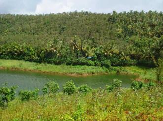 Commercial Land for SaleWayanad, Kalpetta, Banasura Sagar Dam