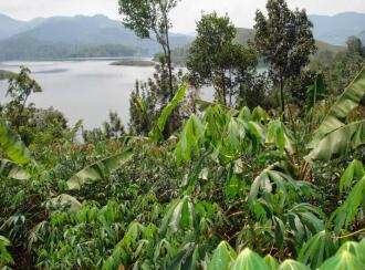 Commercial Land for Sale in Wayanad, Kalpetta, Banasura Sagar Dam, Boundry of Thaj Five StarResort.