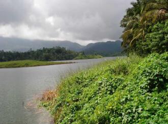 Commercial Land for Sale in Wayanad, Kalpetta, Banasura Sagar Dam, Boundry of Thaj Five StarResort.
