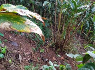 Residential Land for SaleIdukki, Vagamon, Vagamon