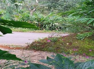 Residential Land for Sale in Idukki, Vagamon, Vagamon, Azhamkala upputhara kattapana road