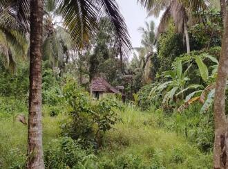 Residential Land for Sale in Alleppey, Cherthala, Thuravoor, NH66