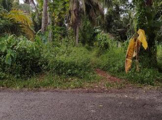 Residential Land for Sale in Alleppey, Cherthala, Thuravoor, NH66