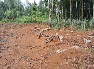 Residential Land for Sale in Kollam, Anchal, Anchal