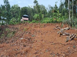 Residential Land for Sale in Kollam, Anchal, Anchal