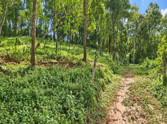 Residential Land for Sale in Wayanad, Kalpetta, Vythiri
