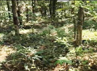 Residential Land for Sale in Kollam, Parippally, Navayikulam