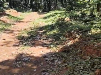 Residential Land for Sale in Kollam, Parippally, Navayikulam