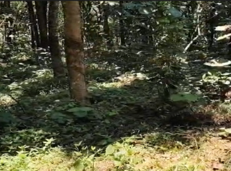Residential Land for Sale in Kollam, Parippally, Navayikulam