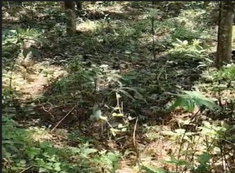 Residential Land for Sale in Kollam, Parippally, Navayikulam