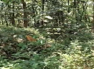 Residential Land for Sale in Kollam, Parippally, Navayikulam