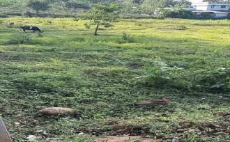 Residential Land for Sale in Thrissur, Thiruvilwamala, Thiruvilwamala, 10°43'41.0"N 76°25'23.3"E