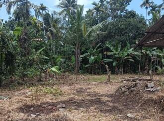 Residential Land, Alleppey