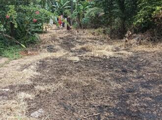 Residential Land for Sale in Alleppey, Chengannur, Ennakkad, Budhanoor Grama Panchayath