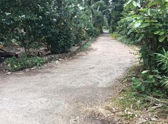 Residential Land for Sale in Alleppey, Chengannur, Ennakkad, Budhanoor Grama Panchayath