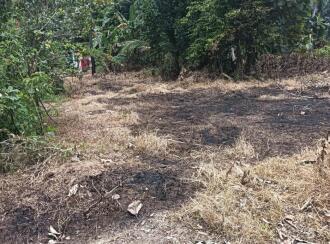 Residential Land for Sale in Alleppey, Chengannur, Ennakkad, Budhanoor Grama Panchayath