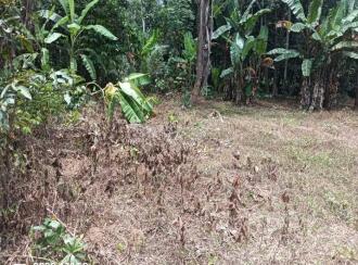 Residential Land for Sale in Alleppey, Chengannur, Ennakkad, Budhanoor Grama Panchayath