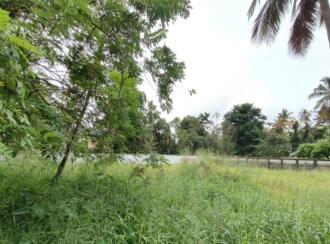 Residential Land for Sale in Ernakulam, Panangad, Panangad, Panangad