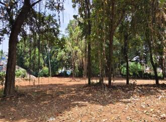 Residential Land for Sale in Palakkad, Chittur, Koduvayur, Keralathappan Temple