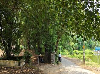 Residential Land for Sale in Palakkad, Chittur, Koduvayur, Keralathappan Temple