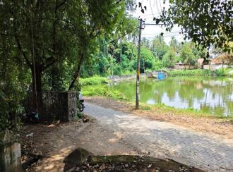 Residential Land for Sale in Palakkad, Chittur, Koduvayur, Keralathappan Temple