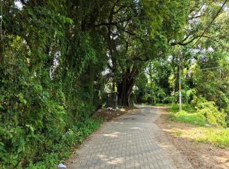 Residential Land for Sale in Palakkad, Chittur, Koduvayur, Keralathappan Temple