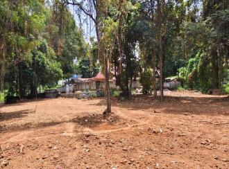 Residential Land for Sale in Palakkad, Chittur, Koduvayur, Keralathappan Temple