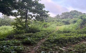 Residential Land for Sale in Palakkad, Ottappalam, Ambalavattom, 10°48'35.1"N 76°21'13.7"E