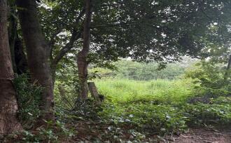 Residential Land for Sale in Palakkad, Ottappalam, Ambalavattom, 10°48'35.1"N 76°21'13.7"E