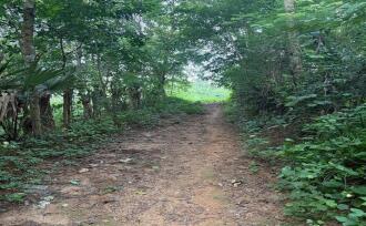 Residential Land for Sale in Palakkad, Ottappalam, Ambalavattom, 10°48'35.1"N 76°21'13.7"E