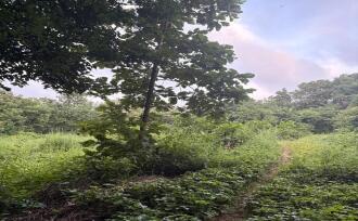 Residential Land for Sale in Palakkad, Ottappalam, Ambalavattom, 10°48'35.1"N 76°21'13.7"E