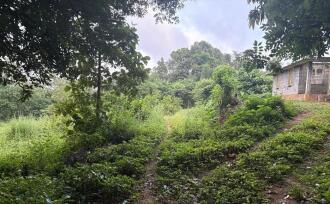 Residential Land for Sale in Palakkad, Ottappalam, Ambalavattom, 10°48'35.1"N 76°21'13.7"E
