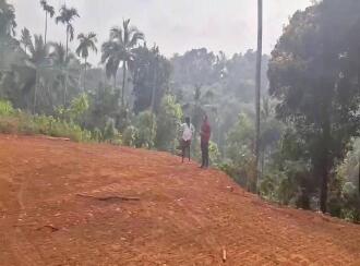 Residential Land for Sale in Wayanad, Kalpetta, Vythiri, near Ayesha Plantations, Vythiri