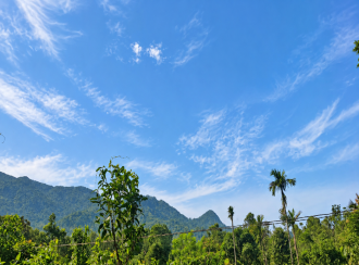Residential Land for Sale in Wayanad, Kalpetta, Vythiri, near Ayesha Plantations, Vythiri