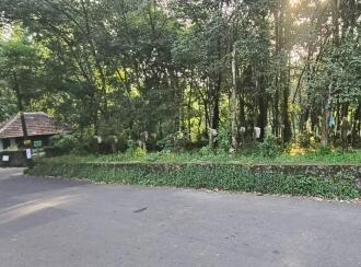 Residential Land for Sale in Kottayam, Kottayam town, Panachikkad, Pathamuttom post office