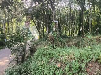 Residential Land for Sale in Kottayam, Kottayam town, Panachikkad, Pathamuttom post office