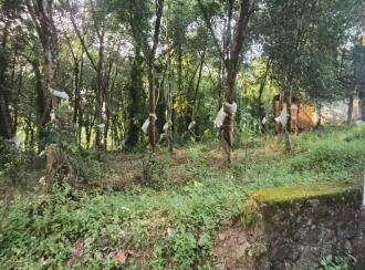 Residential Land for Sale in Kottayam, Kottayam town, Panachikkad, Pathamuttom post office