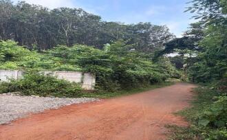 Residential Land, Palakkad